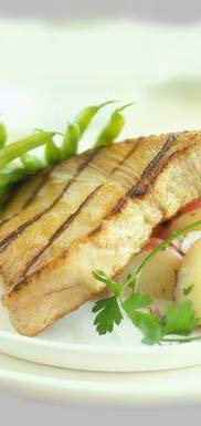 Fornitura all'ingrosso di pesce e prodotti ittici, alla griglia, in salamoia e sotto olio